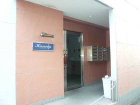 Entrance. Auto-lock of entrance