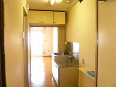 Other. There kitchen storage