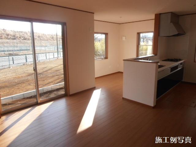 Same specifications photos (living). Construction example photo