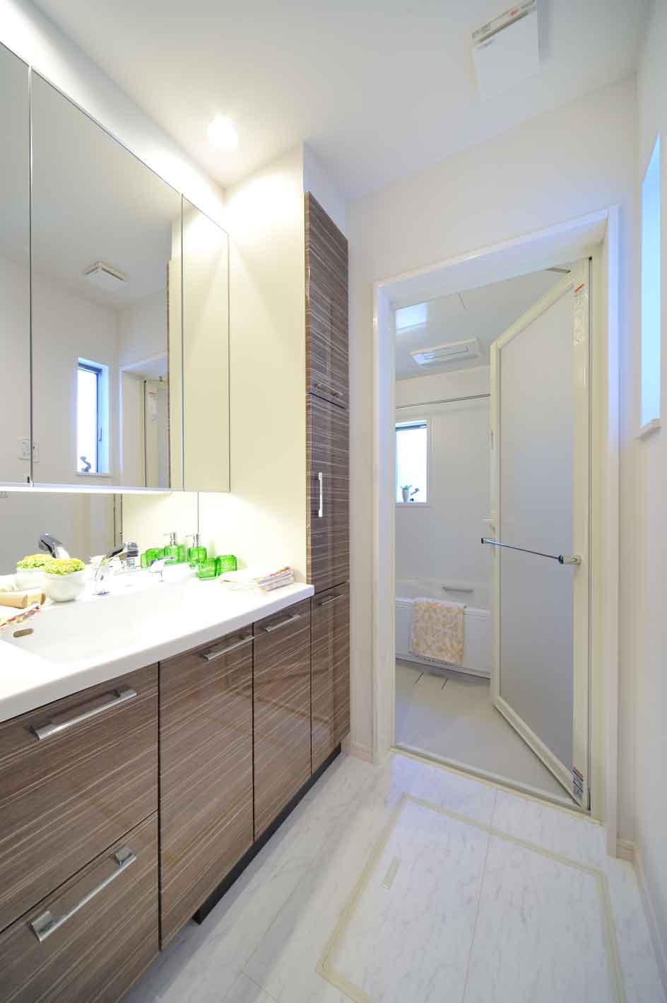 Wash basin, toilet. 7-28 compartment (model house)