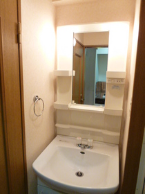 Washroom. Independent wash basin