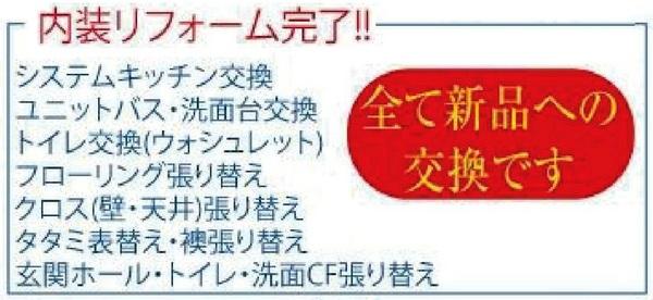 Other. Reform content