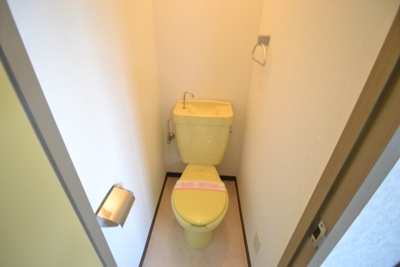 Other. Toilet