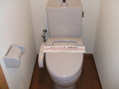 Toilet. Washing with toilet