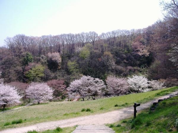 park. 1000m Naganuma park to the park