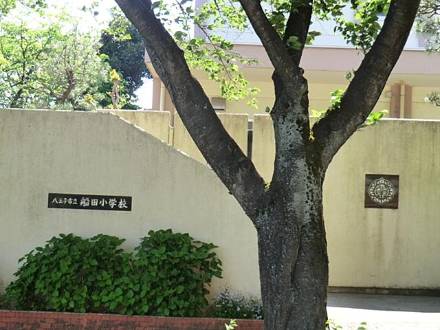 Primary school. NIECE until elementary school 740m