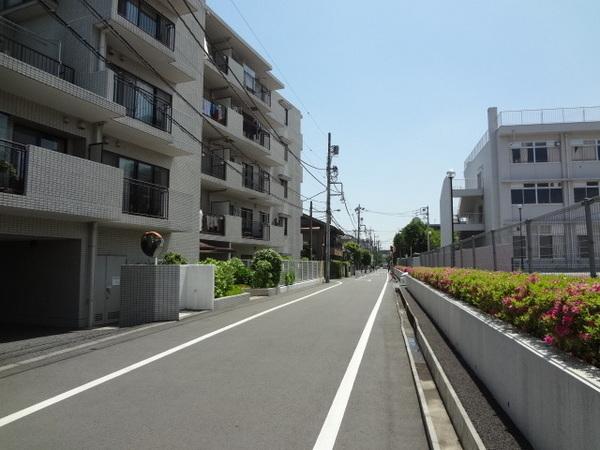 Other local. Local photos, including the front road