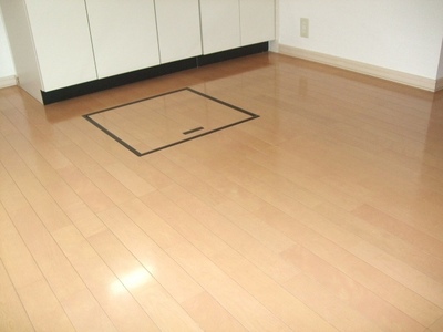 Other room space. Underfloor Storage!