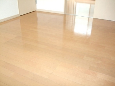 Living and room. Western-style 6 Pledge!