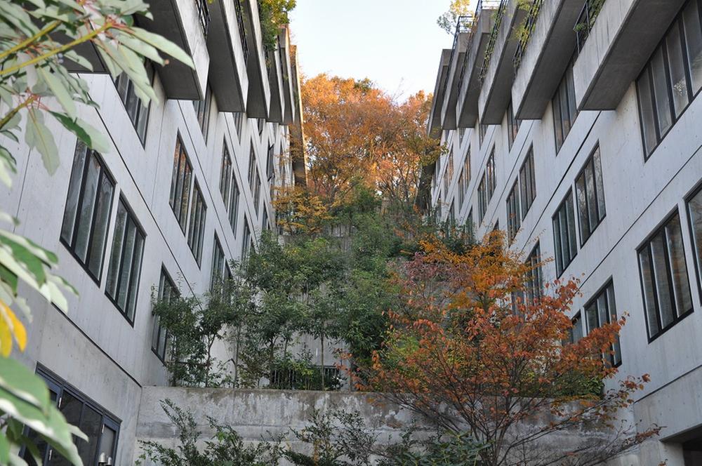 Local appearance photo. Local (11 May 2013) Shooting