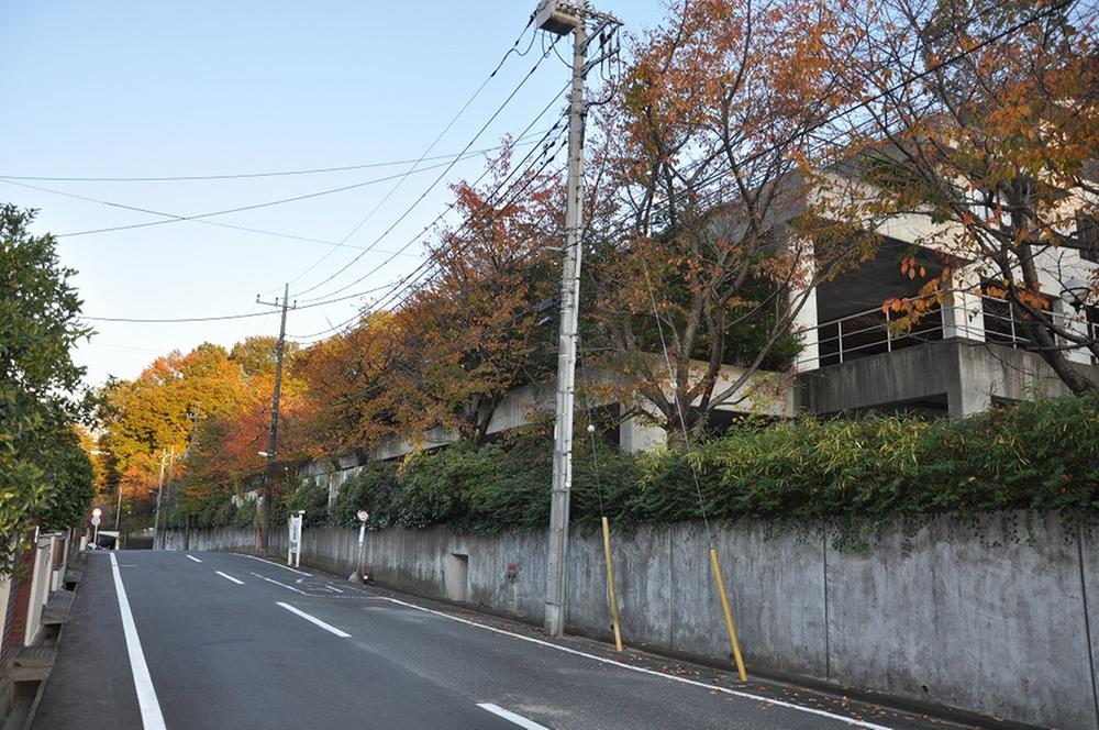 Other local. Local (11 May 2013) Shooting