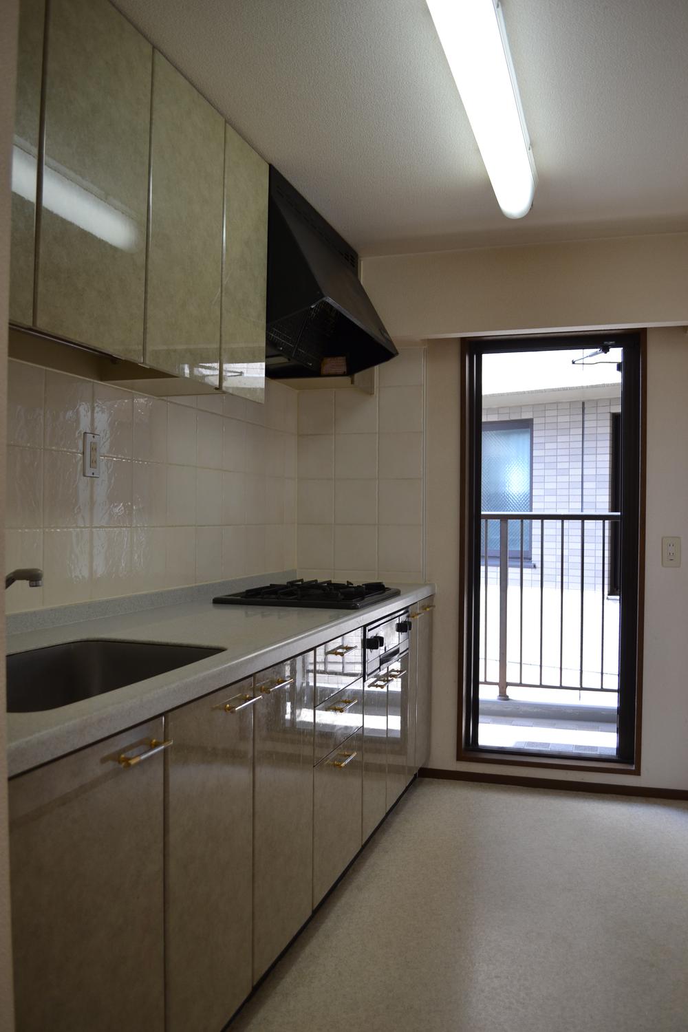 Kitchen. Indoor (11 May 2013) Shooting