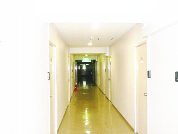 Other common areas. There is very stairs in the hallway wide shared