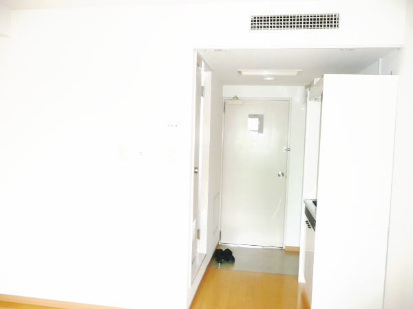 Entrance. Wide entrance space