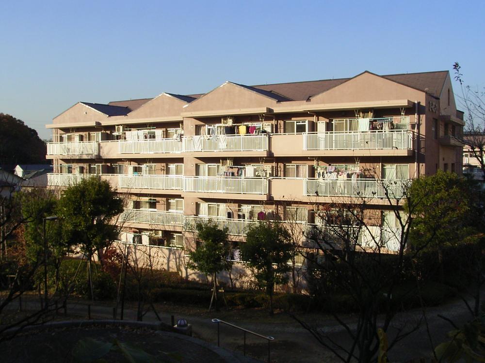 Local appearance photo. Local (11 May 2013) Shooting