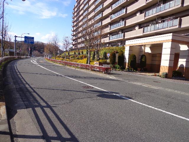 Other local. Local photos, including the front road