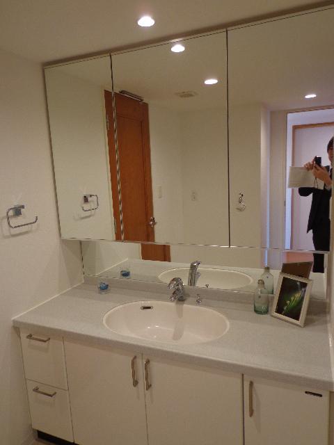 Wash basin, toilet. Bathroom vanity