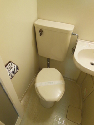 Toilet.  ☆ Loose your toilet ☆ 