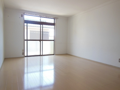 Living and room.  ☆ Spacious living room space ☆ 