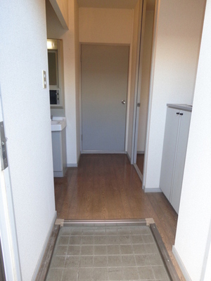 Entrance. Entrance hall