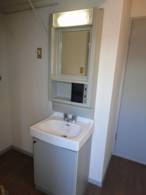 Washroom. Independent wash basin