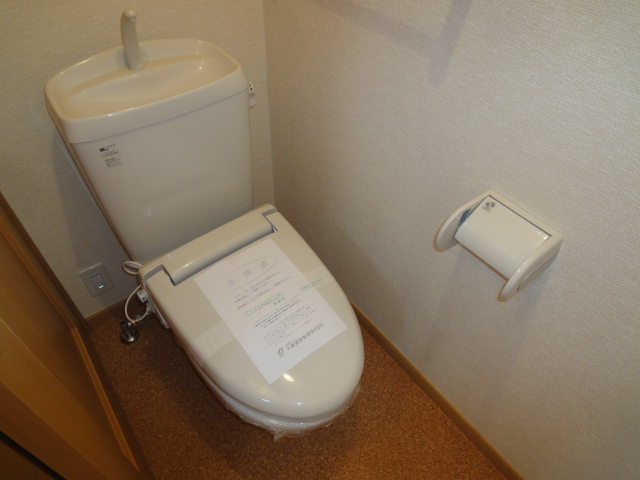 Toilet. Reference photograph
