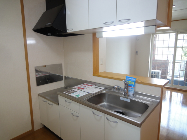 Kitchen. Reference photograph