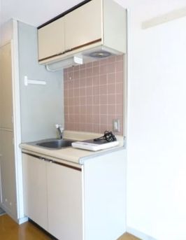 Kitchen. Kitchen with IH cooking heater