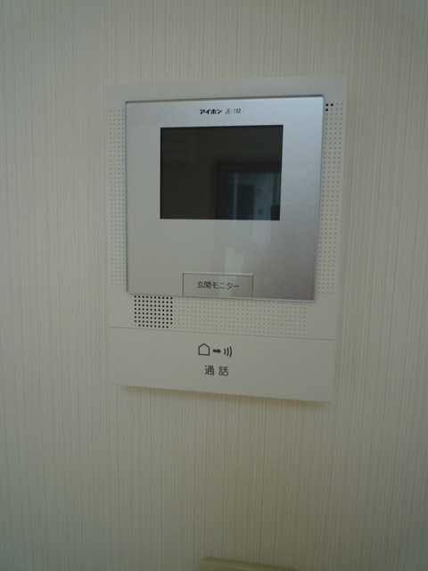 Security. Monitor with intercom
