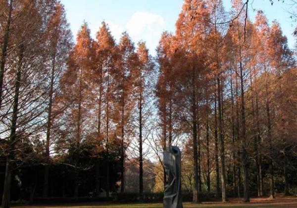 park. 180m Kitanodai Wakaba park to the park