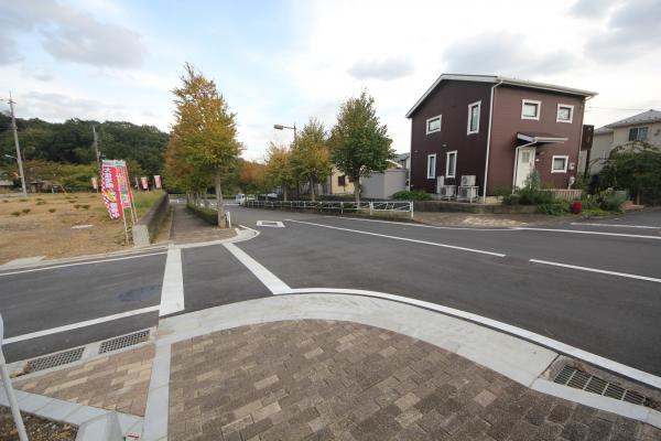 Local photos, including front road