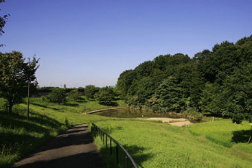 Other Environmental Photo. 1140m until the chestnut Yato park