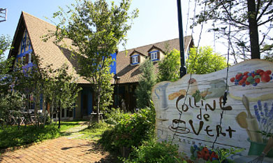 Other Environmental Photo. 2110m up to the hills of the confectionery workshop veil