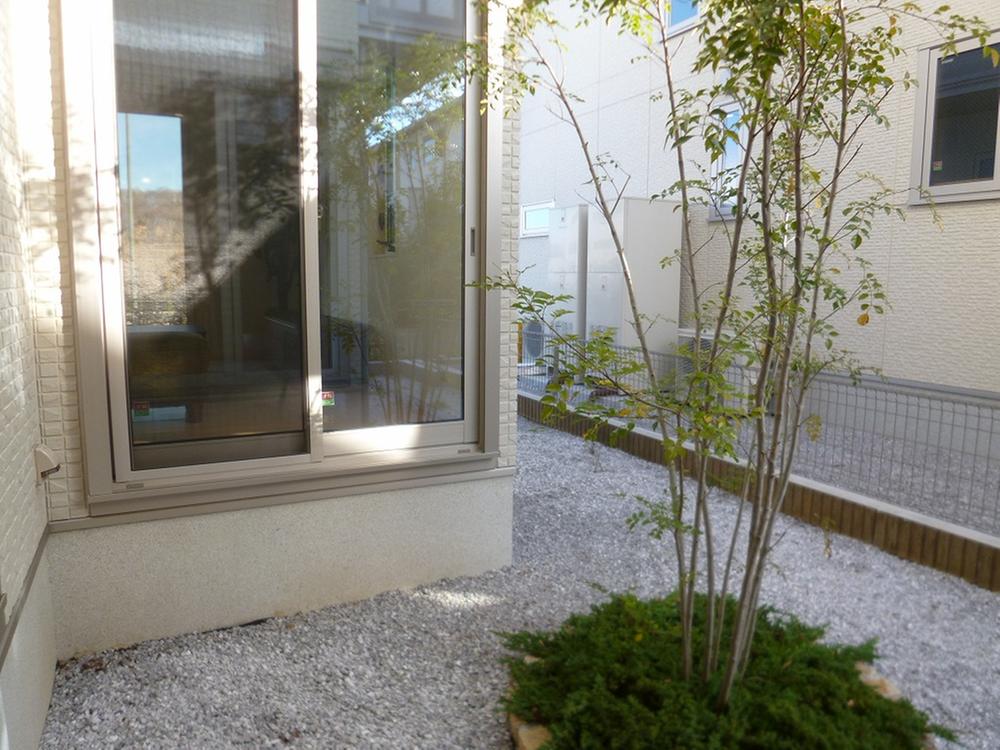 Garden. Courtyard (December 2013) Shooting