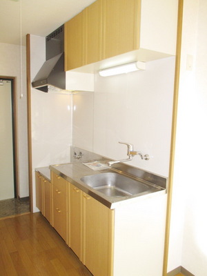 Kitchen. Kitchen space