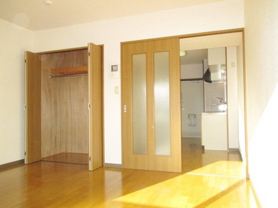 Living and room. Spacious interior