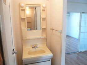 Washroom. Wash basin