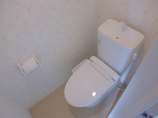 Toilet. With warm water washing toilet seat