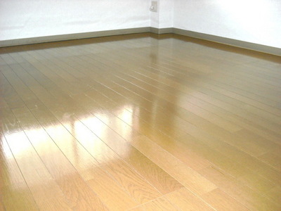 Other room space. Western style room