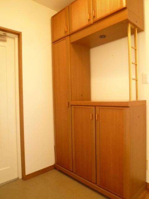 Other introspection. Shoe box is available plenty of storage.