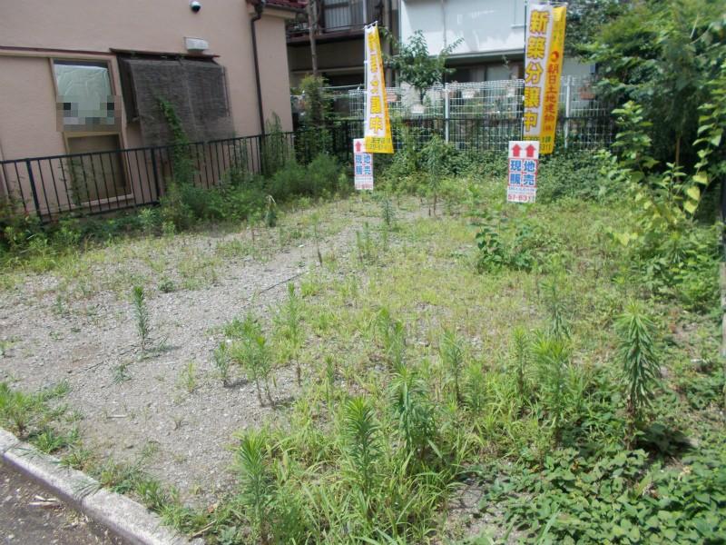 Local appearance photo. Local (July 2013) Shooting