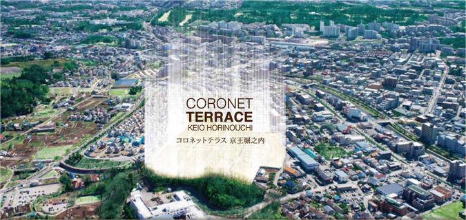 Other local. Subdivision Aerial photo