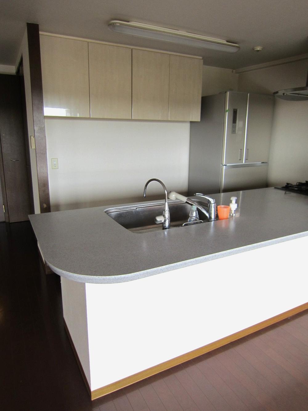 Kitchen. Indoor (July 2013) Shooting