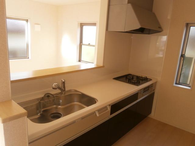 Kitchen. Face-to-face kitchen