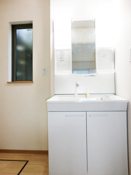 Wash basin, toilet. Vanity shower