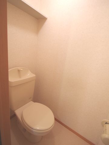 Toilet. toilet, This is useful for storage because there is a shelf at the top