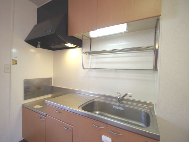 Kitchen. Two-burner gas stove installation Allowed