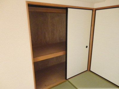 Living and room. It is a large closet