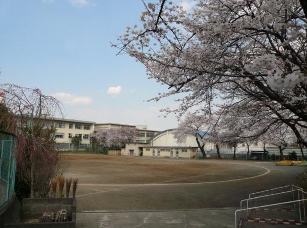Junior high school. The third elementary school 800m up to junior high school