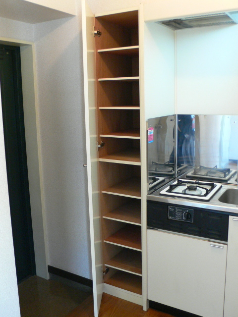 Entrance. Footwear purse